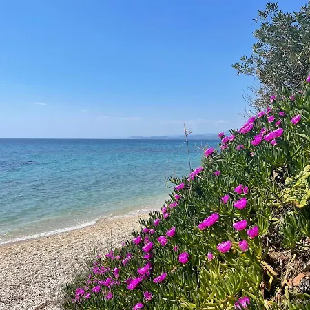 Sea View Anastasia * Kalogria (Sithonia)
